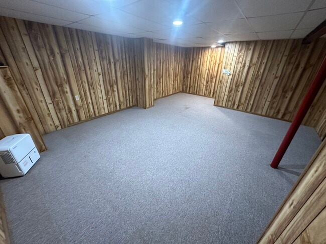 Basement - 3202 W Alvina Ave
