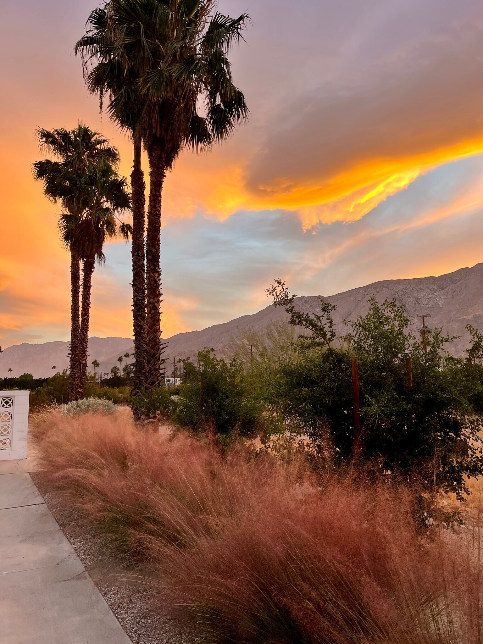 Building Photo - 277 East Racquet Club Road