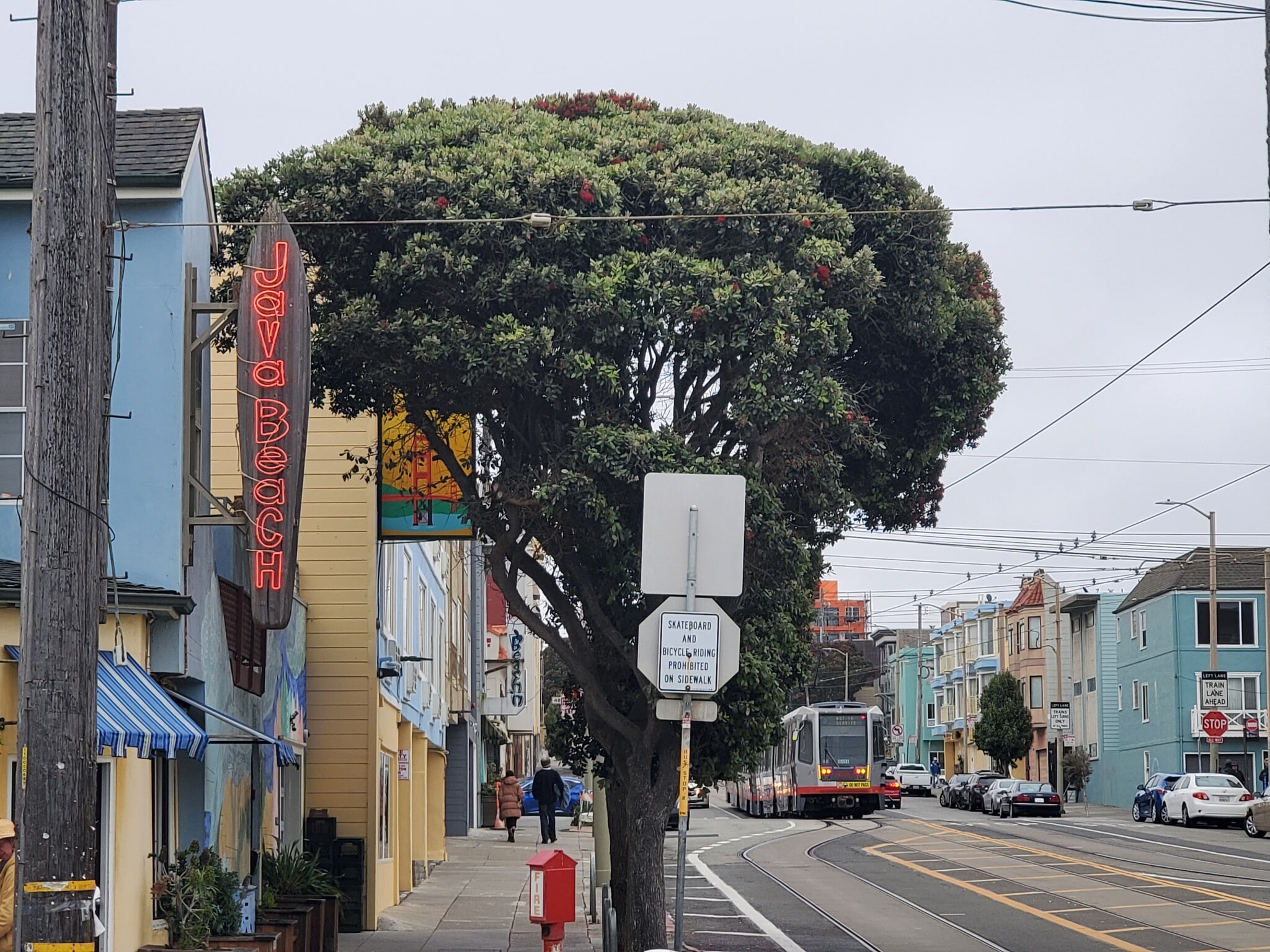 Java Beach at N Judah - 1220 La Playa St