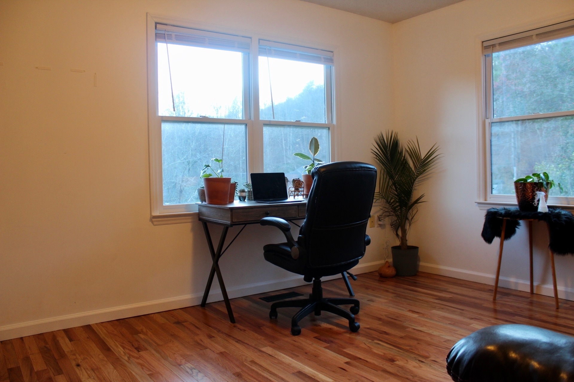 2nd Bedroom/Office - 28 Brown Hollow Ln