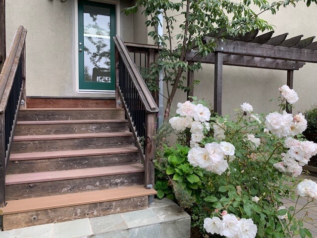 Entrance to building from backyard - 6415 Snake Rd