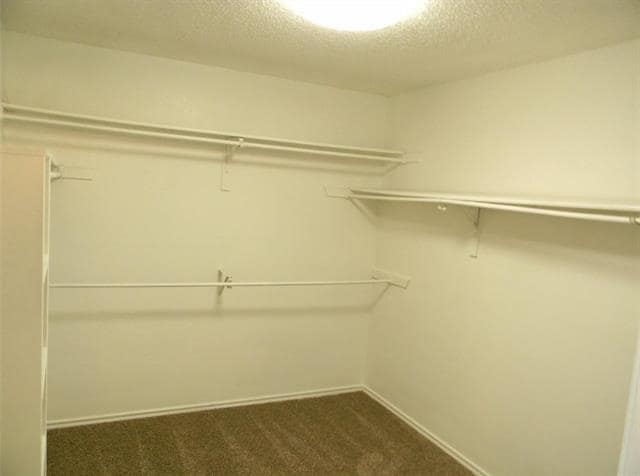 Building Photo - 5017 Winder Ct