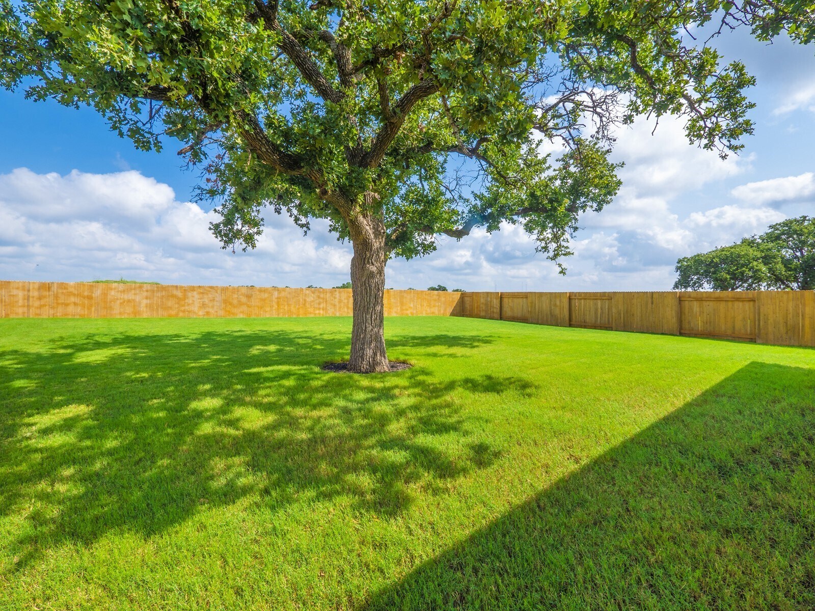 Building Photo - 120 Serpens St