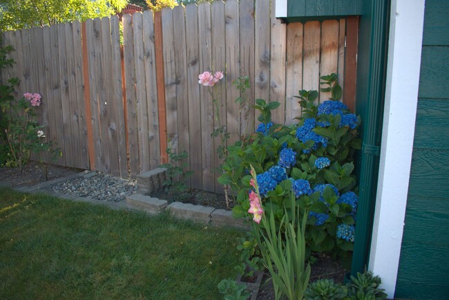Building Photo - OPEN HOUSE SATURDAY 5/3/25 FROM 1:00-3:00 ...