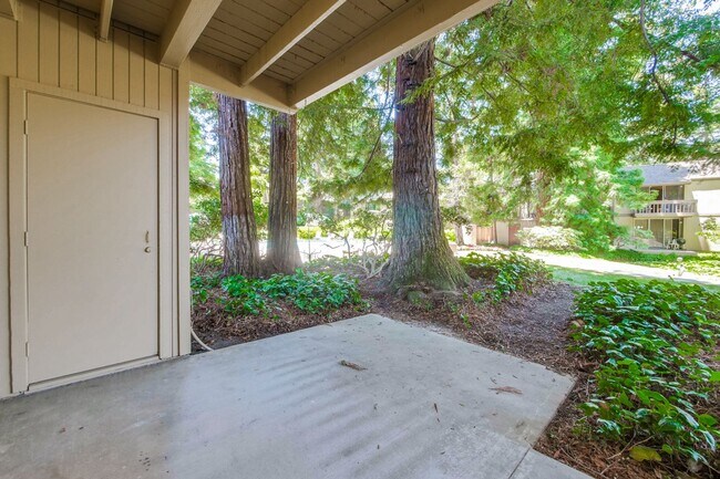 Building Photo - Beautiful 2BR 2BA downstairs condo in Moun...