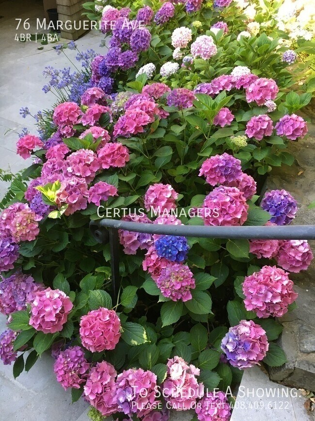 Building Photo - 76 Marguerite Ave