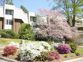 Building Photo - Charming 3 Bedroom Condo in the Heart of Chapel Hill!