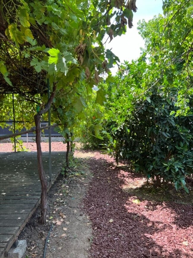 Building Photo - Beautiful Single Story home in Carmichael, 4+2, Large living area, 2 garages.