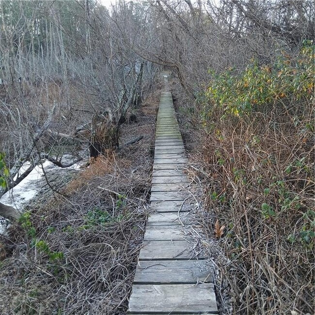 Building Photo - 241 Nacoochee Dr