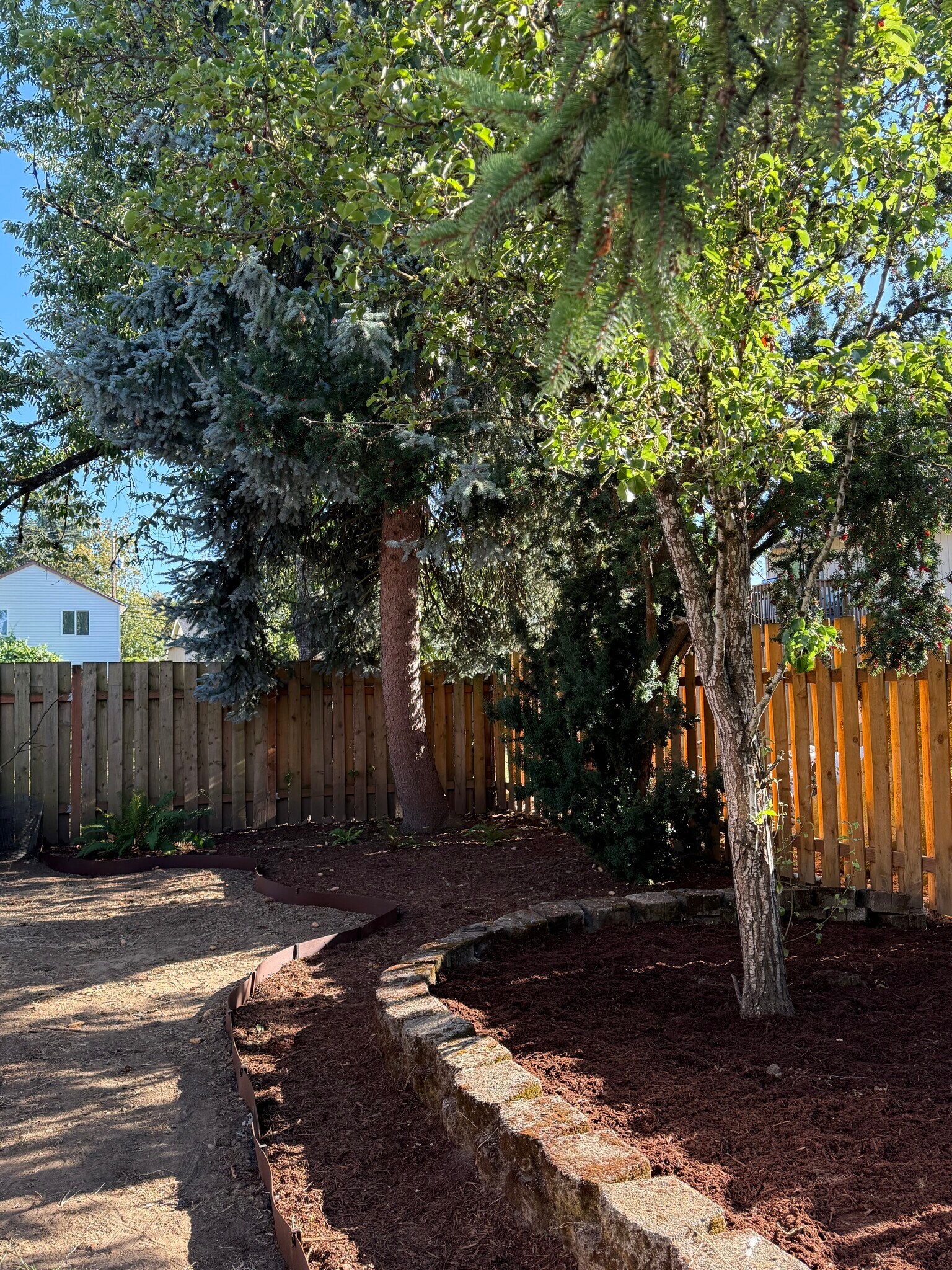 Backyard - 12717 SE 22nd Ave