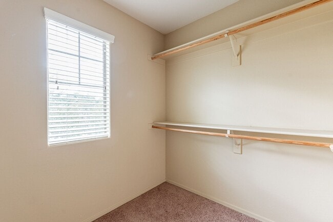 Building Photo - 3 bedroom home in Surprise