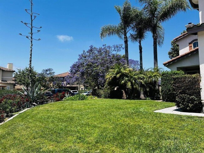 Building Photo - 6033 Paseo Hermosa