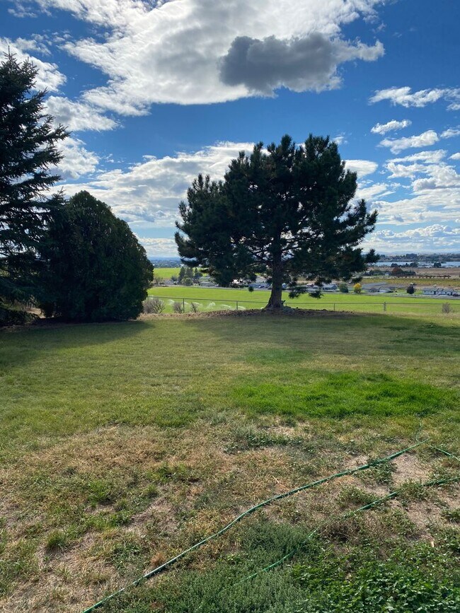Building Photo - Large Home for Rent on Airway Dr, Beautiful Backyard Views!