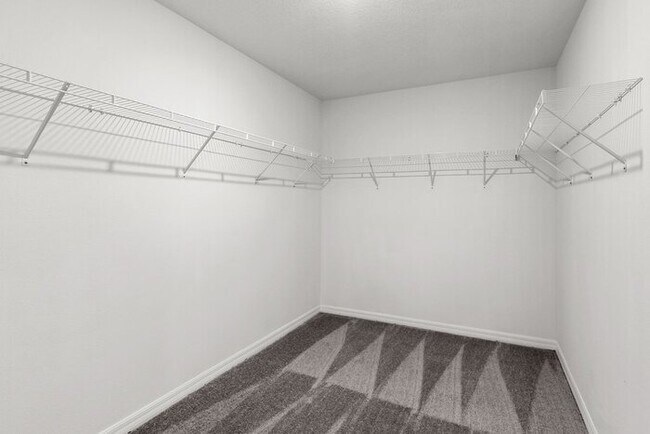 Building Photo - Brand New Home For Rent In Berry Bay