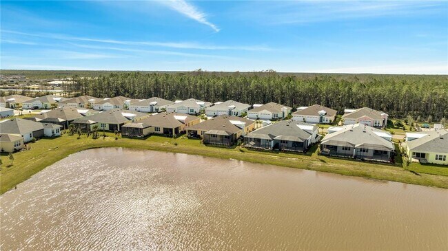 Building Photo - 879 Margaritaville Ave