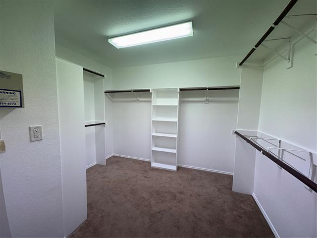 Building Photo - 5913 Big Pine Dr