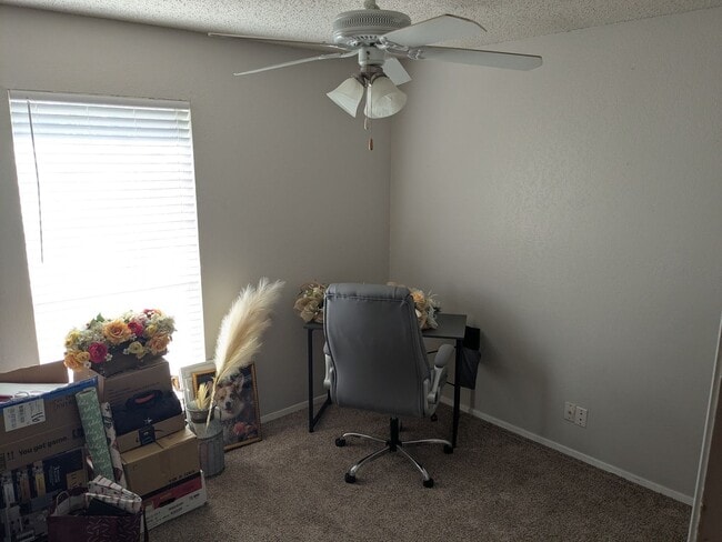 Building Photo - 3 Bed 2 Bath Home - Park Access