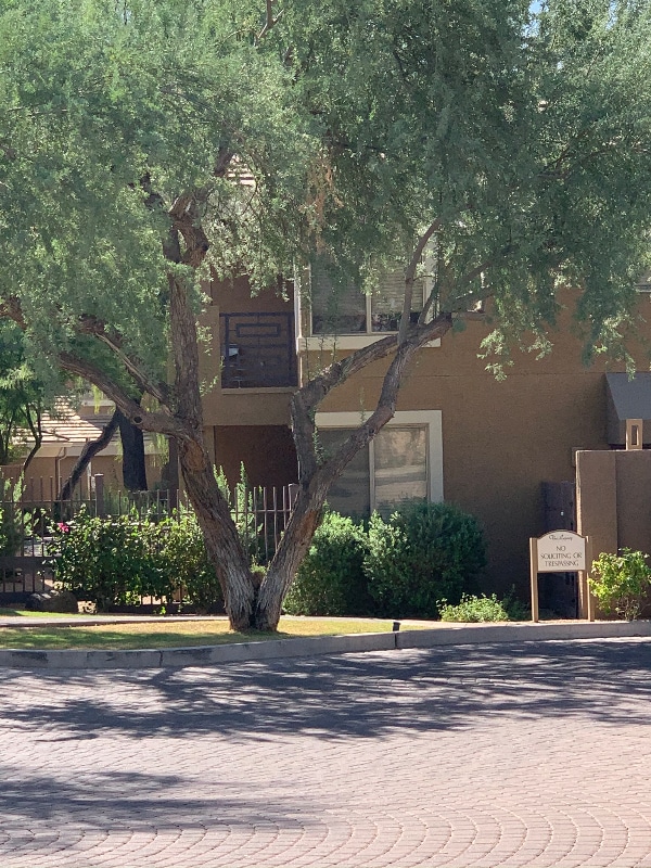 Building Photo - 1411 E Orangewood Ave