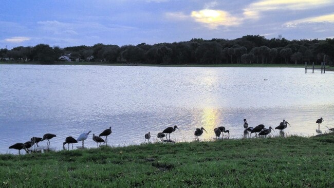 Building Photo - 3130 Millwood Terrace