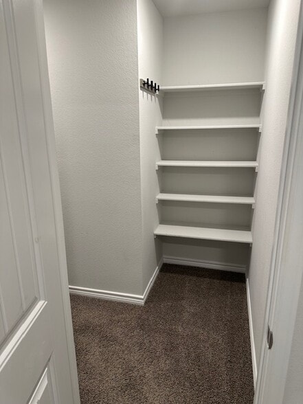 Walk-in closet - 10908 Peperak Ct