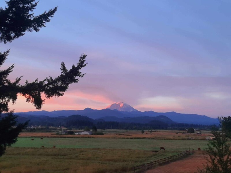 Building Photo - 39826 278th Way SE