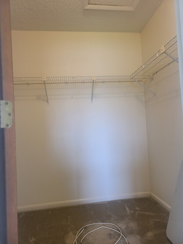 Building Photo - 6057 Topher Trail