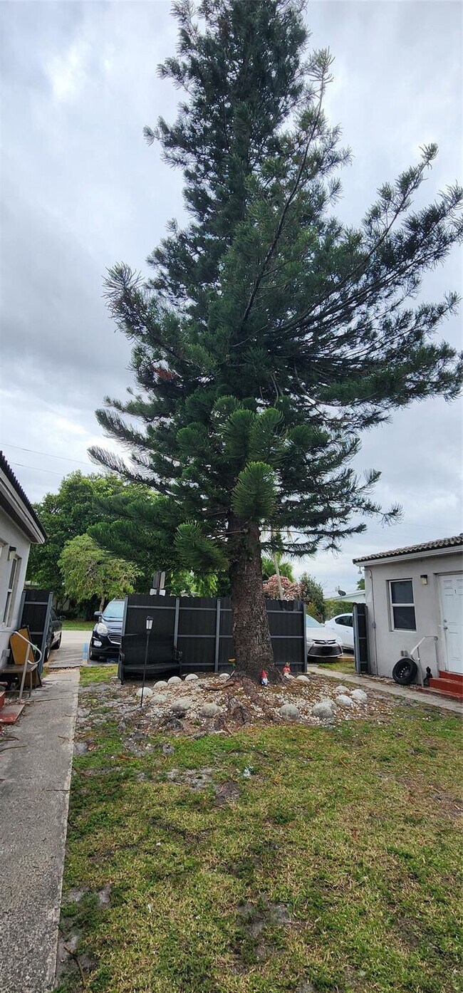 Building Photo - 2711 Lincoln St