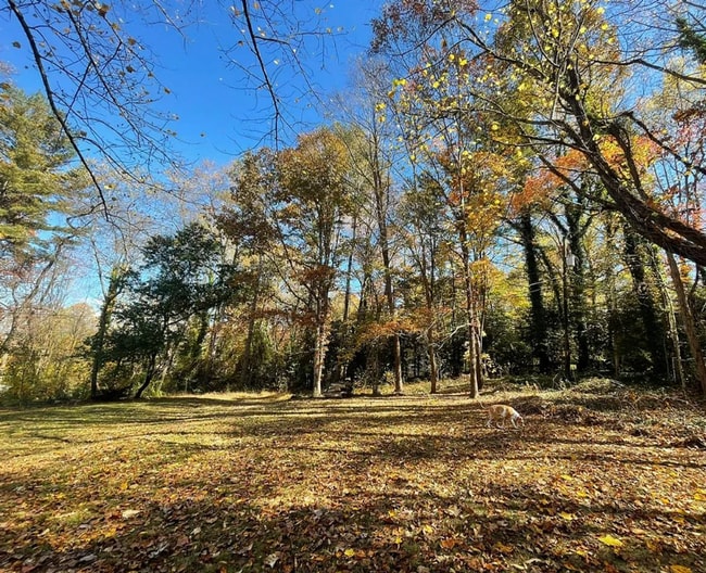 Building Photo - Mills River Rental!