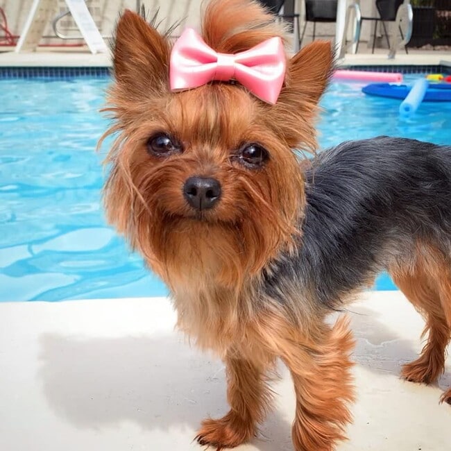 Floorplan - The Park At Bountiful