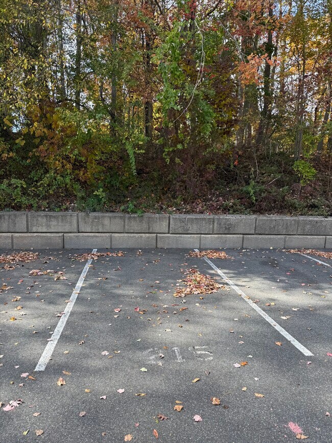 Building Photo - 175 Mill Pond Rd