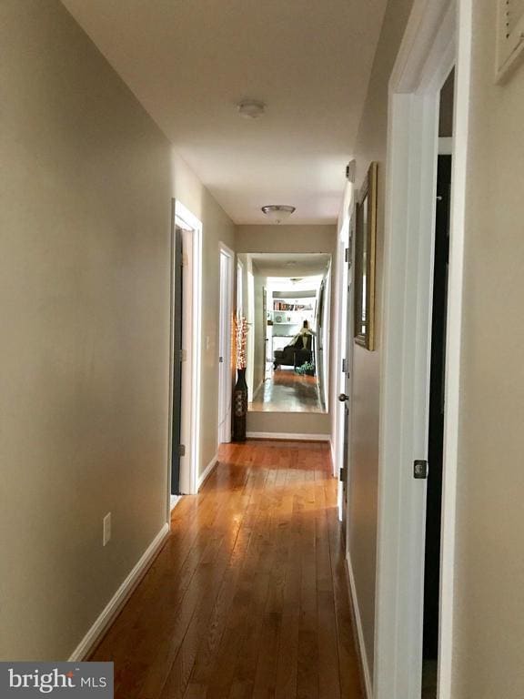 Building Photo - 8 Plumosa Dr