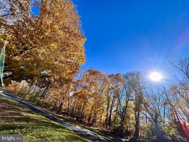 Building Photo - 1705 Mountainview Dr