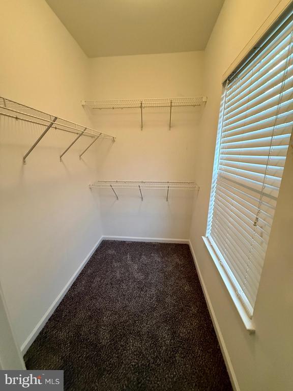 Building Photo - 2593 Eastbourne Dr