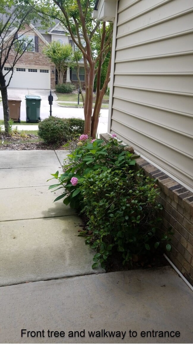 Building Photo - 308 Windy Peak Loop