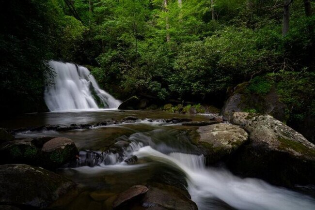 Building Photo - 644 Gladdens Creek Rd