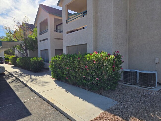 Primary Photo - Centrally located downstairs unit