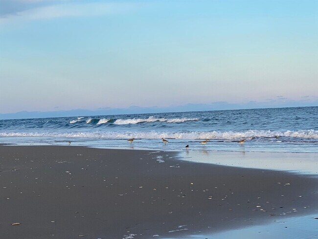 Building Photo - 56821 North Carolina Hwy 12