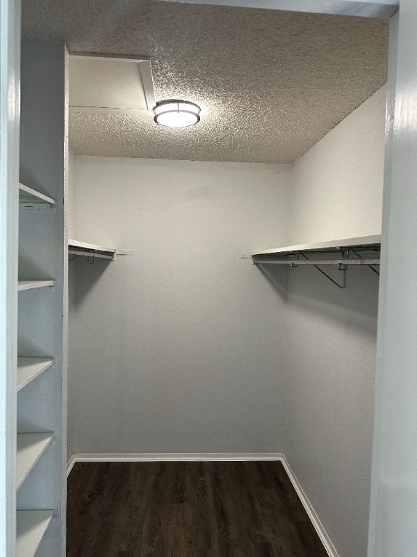 Building Photo - 4735 El Vedado St