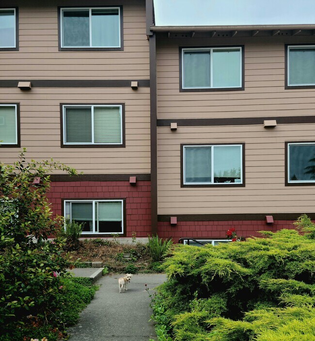 Building Photo - 17430 Ambaum Blvd S