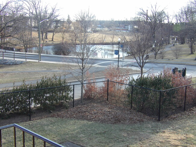 View of Park from Balcony! - 2 Westervelt Pl