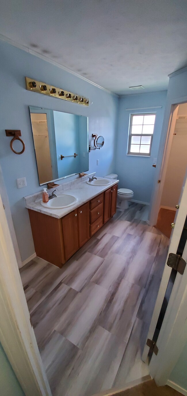 Master bathroom. New toilet, new floors, new faucets and drains. - 4960 W Tarkio St