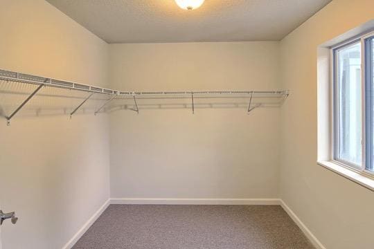 Building Photo - 3212 Brookside Dr