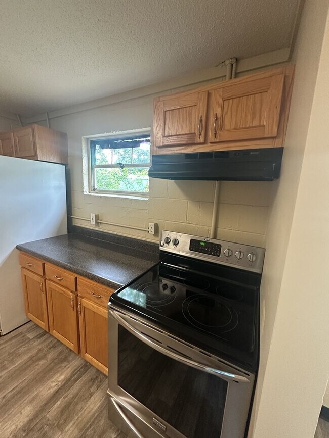Building Photo - 1529 Mountain View Ct