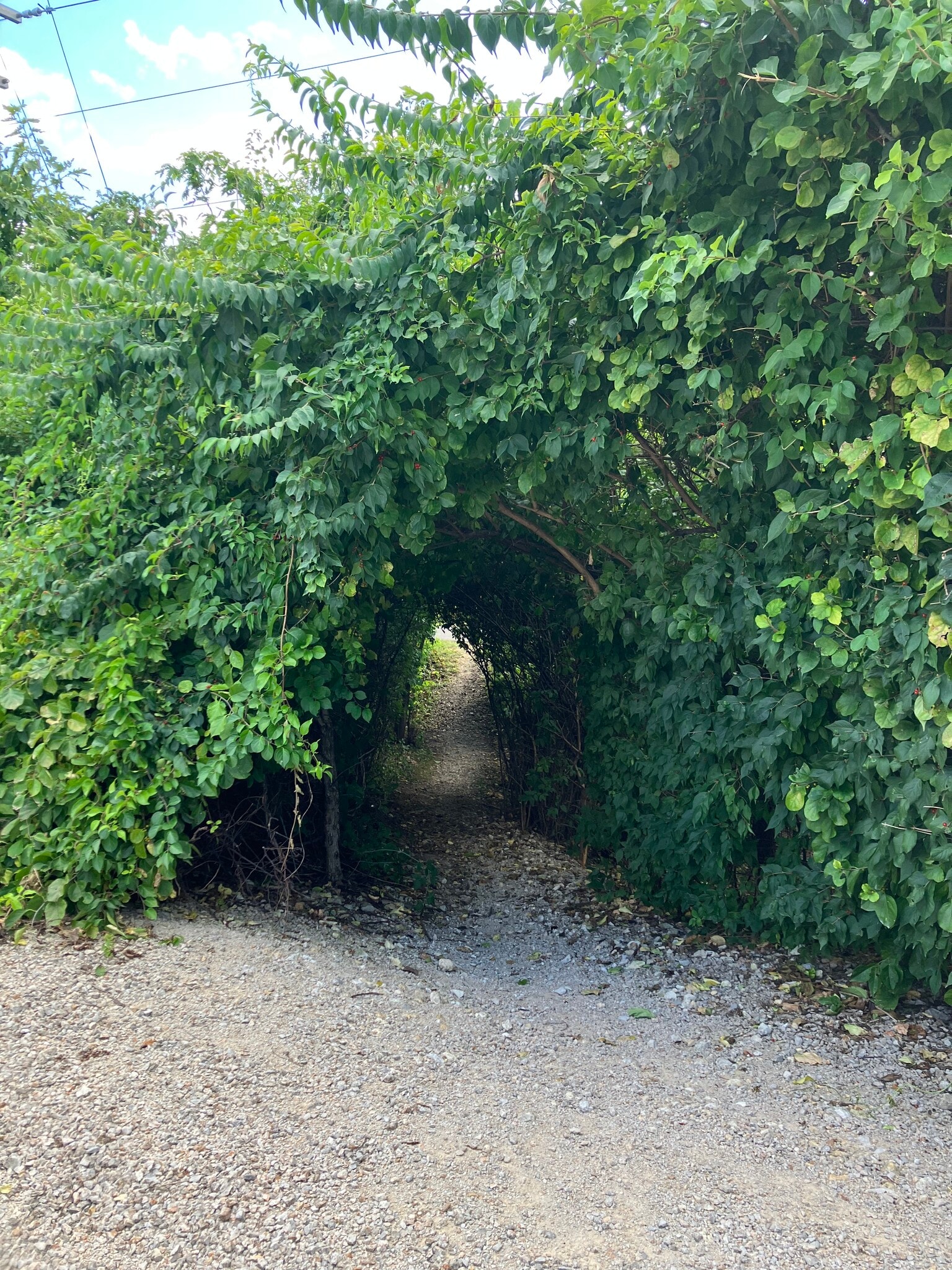 Rock island trail entrance just steps from the front porch - 5601 N Humboldt Ave