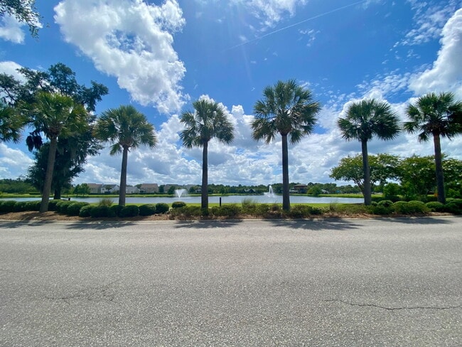 Building Photo - Spacious, Four Bedroom Townhouse With a View!