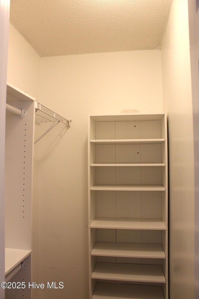 Building Photo - 209 Quarter Horse Ln