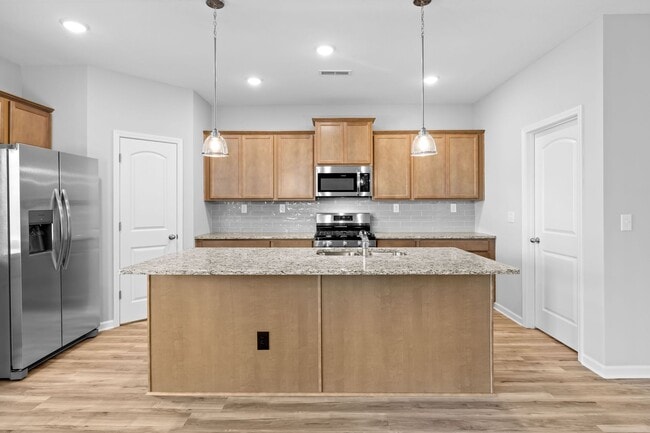 Building Photo - Brand-New 4 Bedroom Home in Beautiful Mary...