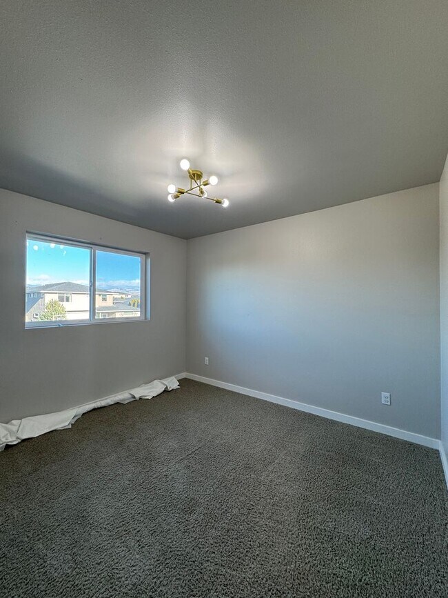 Building Photo - Newly Renovated & Ready to Impress!