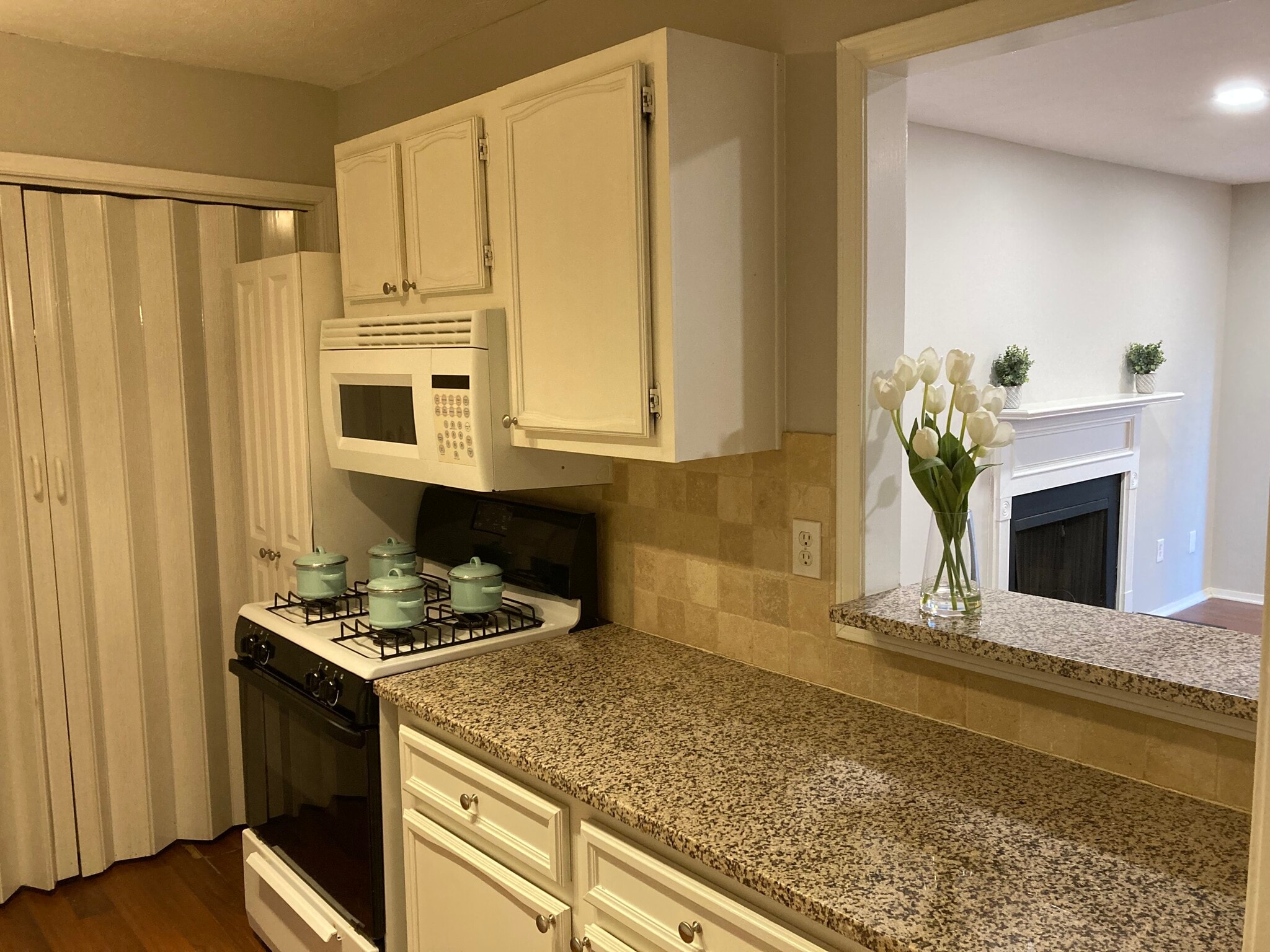 Kitchen with granite countertops and access window to livingroom - 1405 Vicksburg Plz