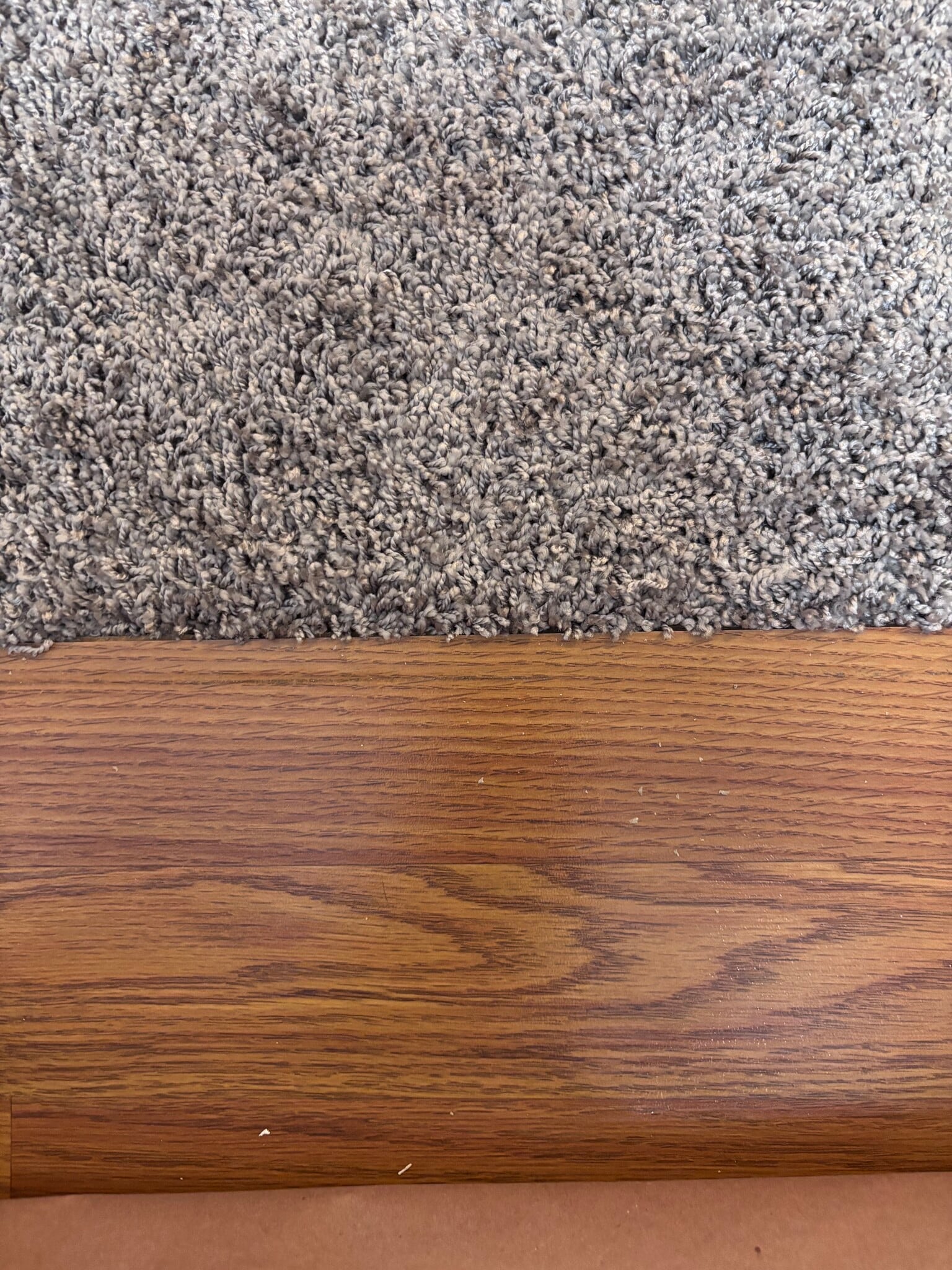 Carpet in Bedrooms - 3250 Oneal Cir